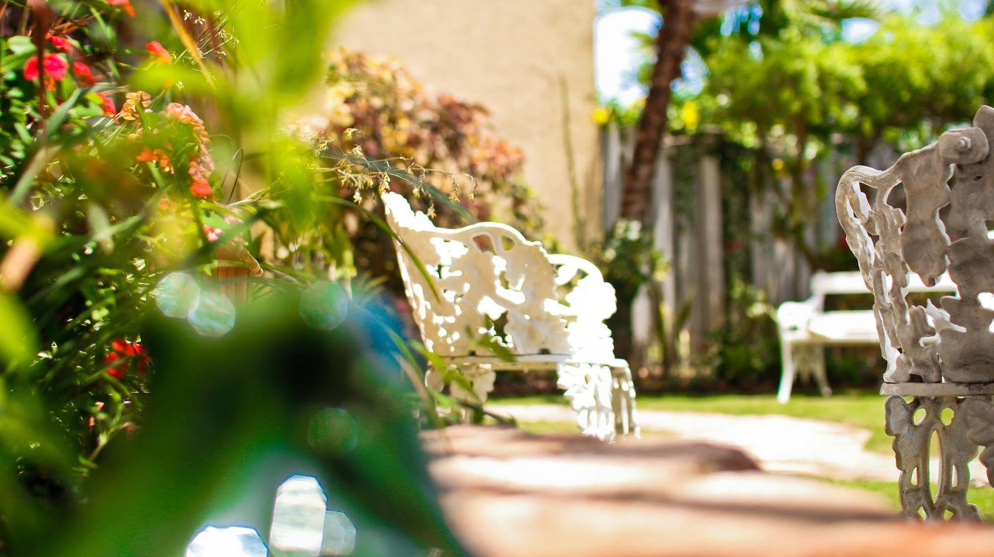 Cattleya Luxury Suites คิงส์ตัน ภายนอก รูปภาพ