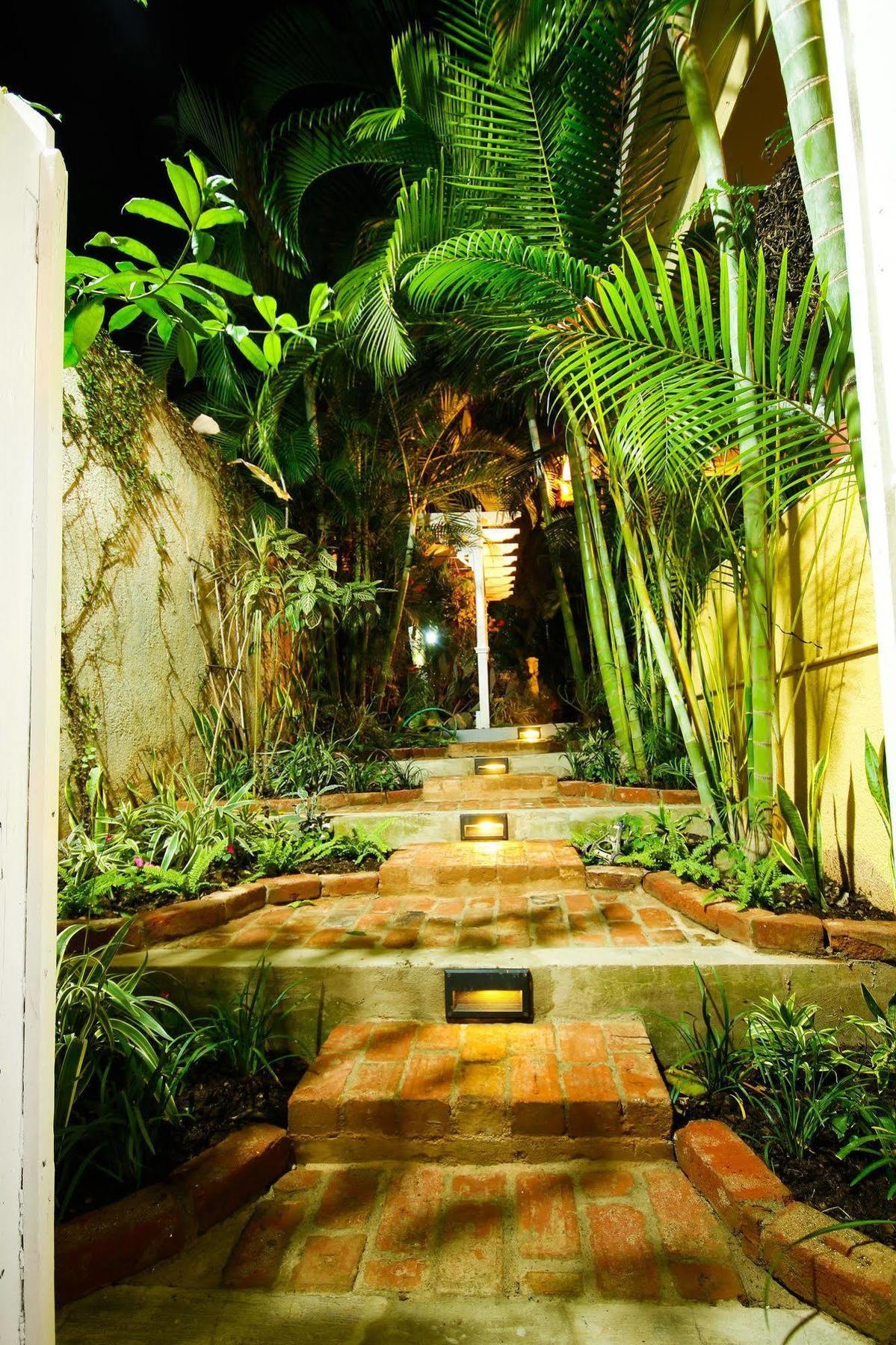 Cattleya Luxury Suites คิงส์ตัน ภายนอก รูปภาพ