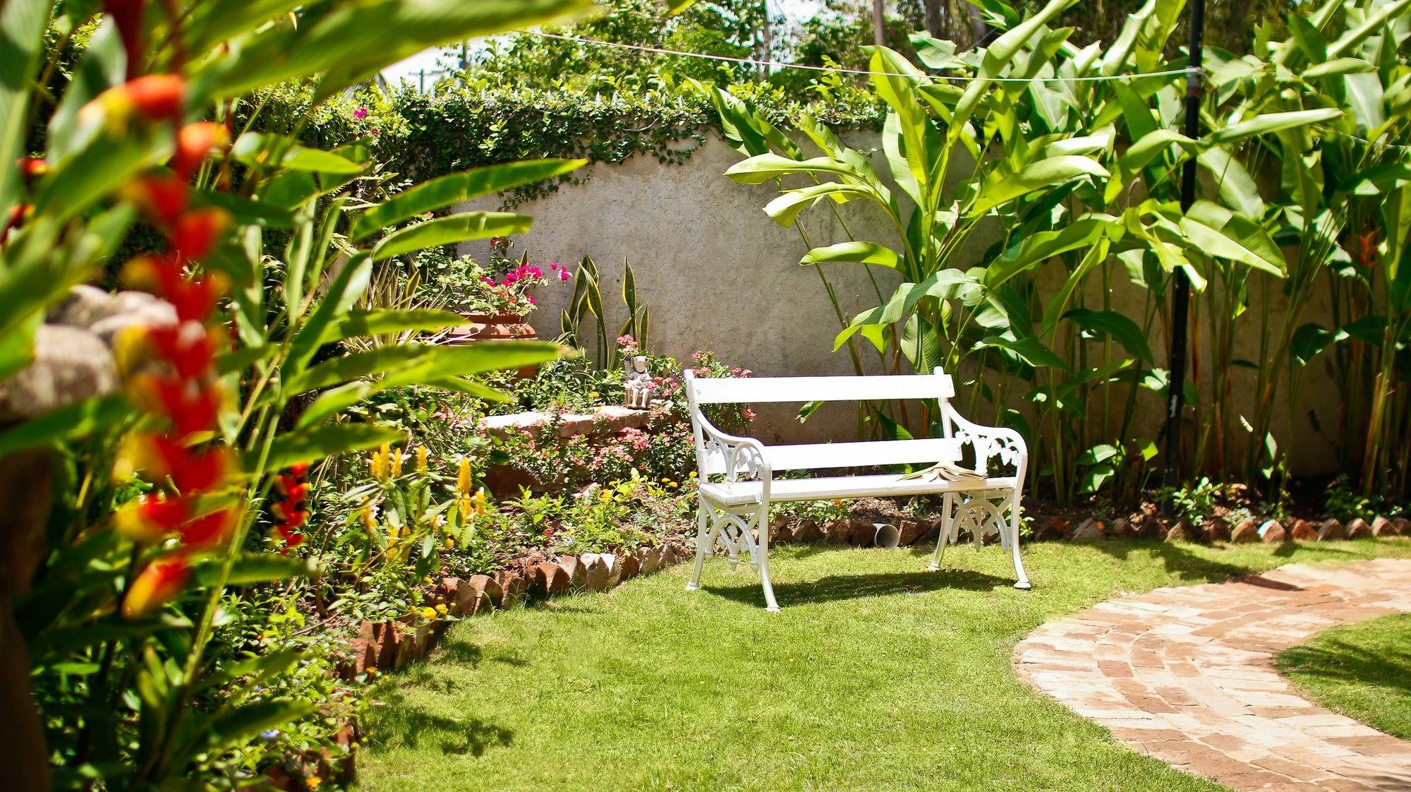 Cattleya Luxury Suites คิงส์ตัน ภายนอก รูปภาพ
