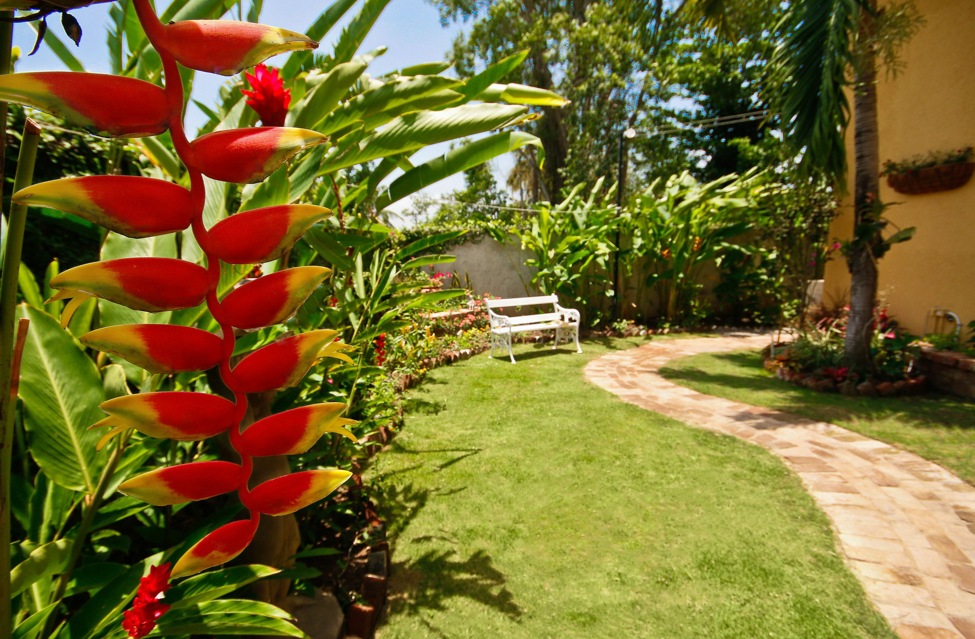 Cattleya Luxury Suites คิงส์ตัน ภายนอก รูปภาพ